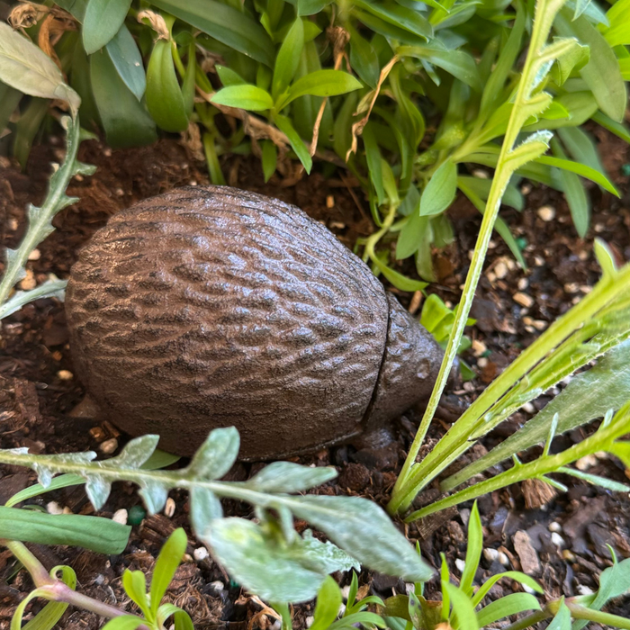 Keyhide – Rustic Cast Iron Echidna | Hidden Key Holder & Outdoor Garden Décor 10cm