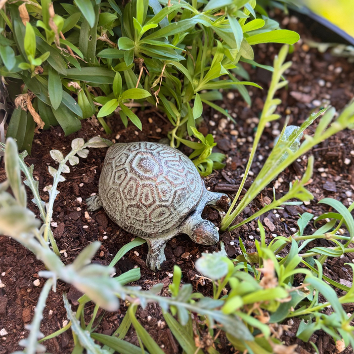 Keyhide – Rustic Cast Iron Tortoise | Hidden Key Holder & Outdoor Garden Décor 10cm