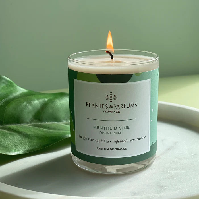Plantes & Parfums | 180g Handcrafted Perfumed Candle - Divine Mint