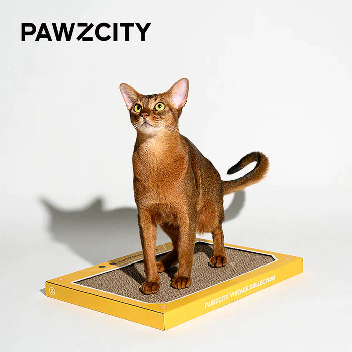 PAWZCITY | Vintage Tape Cat Scratching Board - C - Lozza’s Gifts & Homewares 