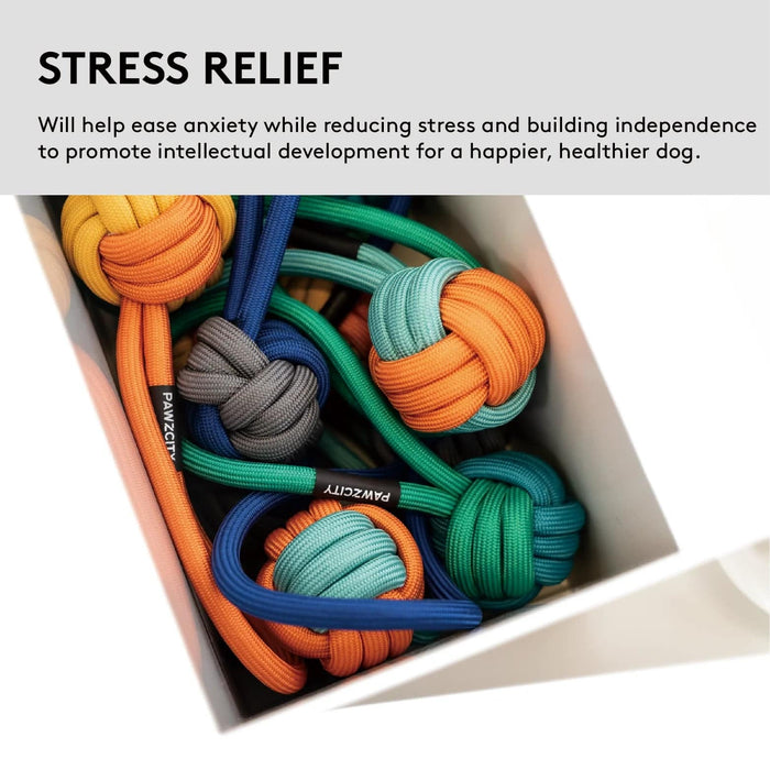 Toy Pet Interactive Rope Ball With Loop - Blueberry - Lozza’s Gifts & Homewares 