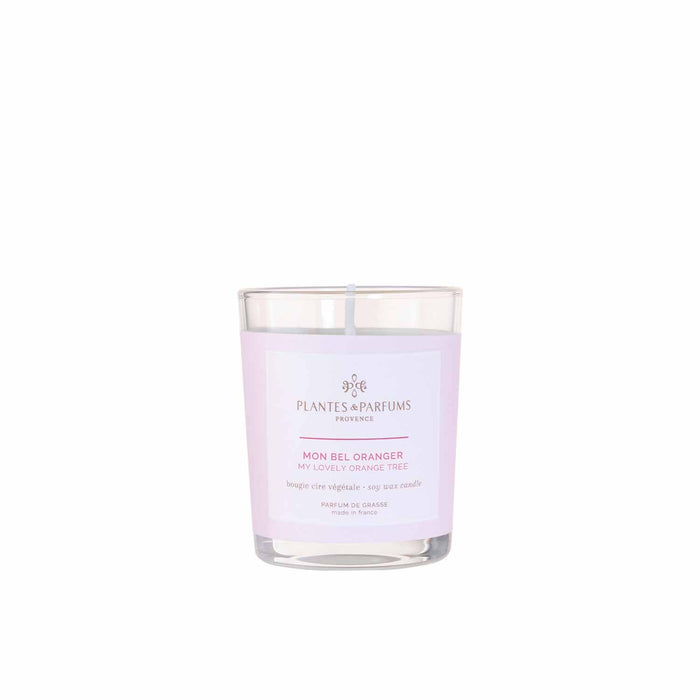 Plantes & Parfums -180g Handcrafted Perfumed Candle - My Lovely Orange Tree - Lozza’s Gifts & Homewares 