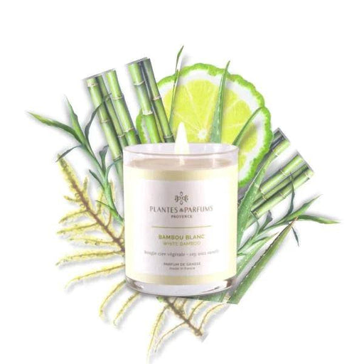 Plantes & Parfums - 180g Handcrafted Perfumed Candle - White Bamboo - Lozza’s Gifts & Homewares 