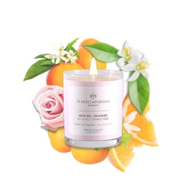 Plantes & Parfums -75g Handcrafted Perfumed Candle - My Lovely Orange Tree - Lozza’s Gifts & Homewares 