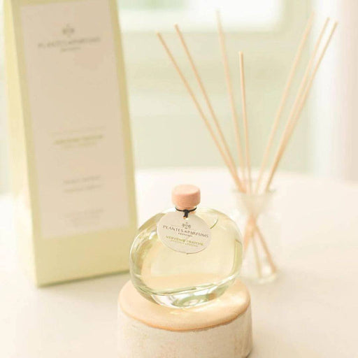 Plantes & Parfums Fragrance Diffuser - Fresh Verbena - Lozza’s Gifts & Homewares 